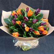 Mixed Tulips