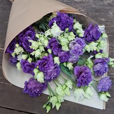 Just Purple Lisianthus