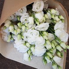 Just White Lisianthus